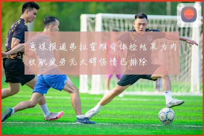 意媒报道弗拉霍维奇体检结果为内收肌疲劳无大碍伤情已排除