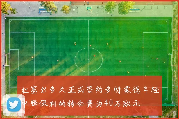 杜塞尔多夫正式签约多特蒙德年轻中锋保利纳转会费为40万欧元