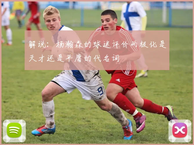 解说：杨瀚森的球迷评价两极化是天才还是平庸的代名词